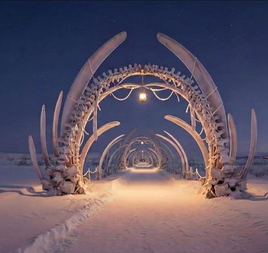 Winners Announced for the “Arctic. Reset” Architectural Competition