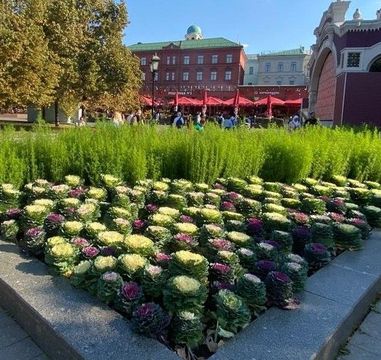 Четыре комитета жюри оценят проекты на открытых защитах премии АЛАРОС