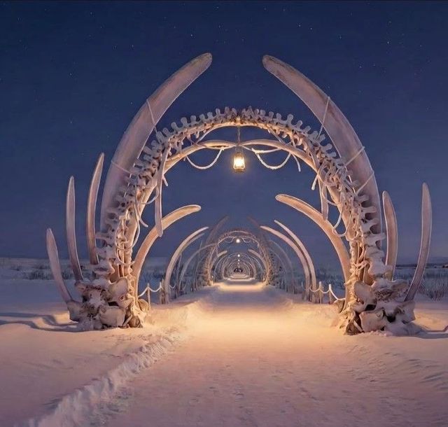 Объявлены победители архитектурного конкурса «Арктика. Перезагрузка»